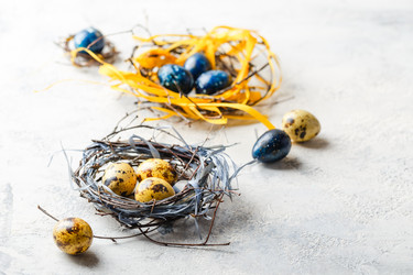 Similar image 21323414