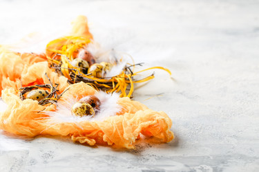 Similar image 21323521