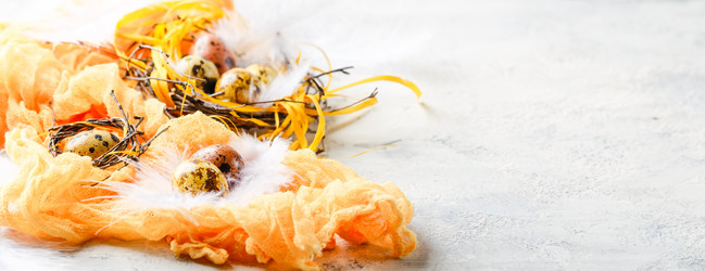 Similar image 21323523