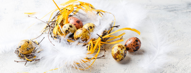 Similar image 21323525