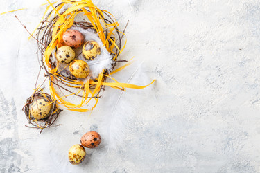 Similar image 21323526