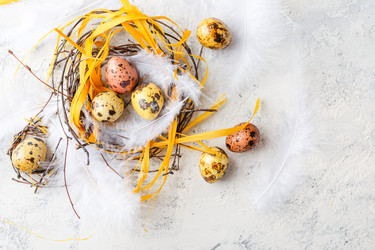 Similar image 21323527