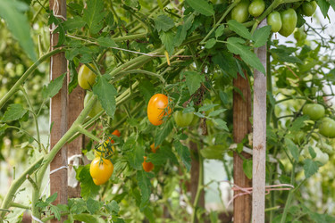 Similar image 21302706