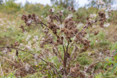 Similar image 21302715