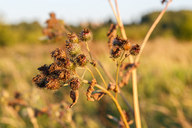 Similar image 21302720