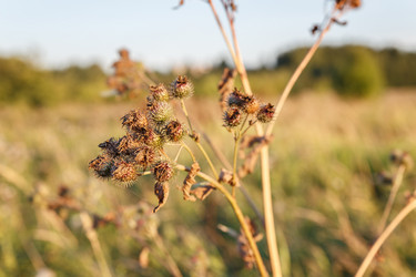 Similar image 21302721