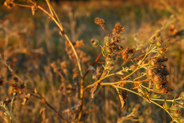 Similar image 21302722