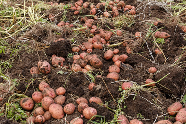 Similar image 21302728