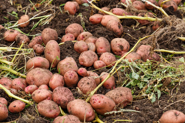 Similar image 21302732