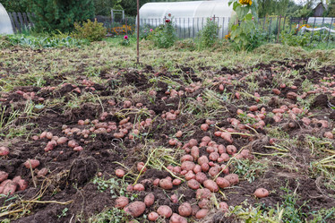 Similar image 21302733