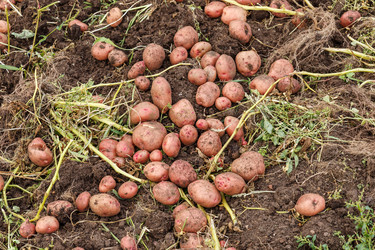 Similar image 21302734