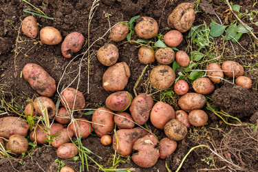 Similar image 21302735