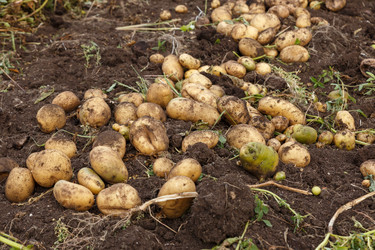 Similar image 21302739