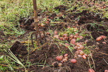 Similar image 21302741