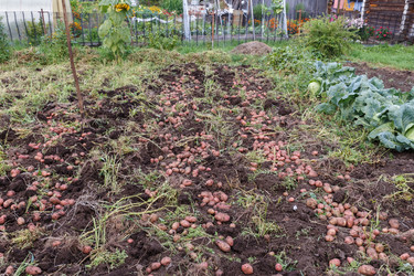 Similar image 21302743