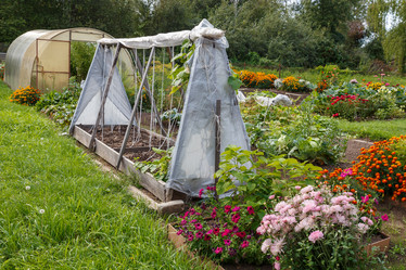 Similar image 21302749