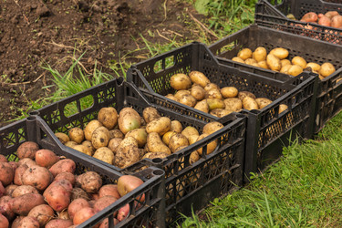 Similar image 21302755