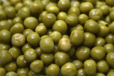 Similar image 21328047