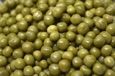 Similar image 21328048