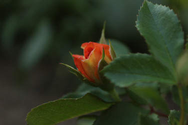 Similar image 21317145