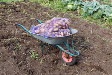 Similar image 21302673