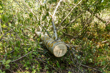 Similar image 21302685