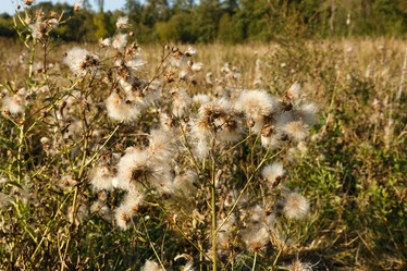 Similar image 21302686