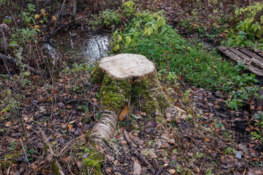 Similar image 21302762