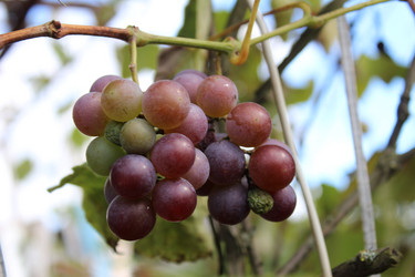 Similar image 21317367