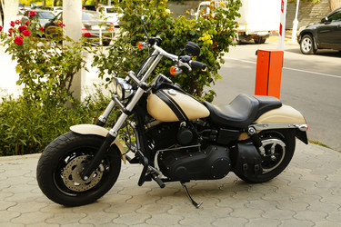 Similar image 21304054