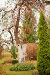 Similar image 21324584