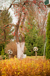 Similar image 21324589