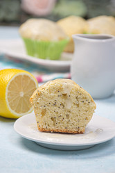 Similar image 21304059