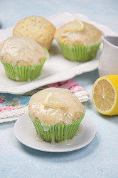 Similar image 21304062