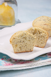 Similar image 21304063