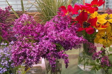 Similar image 21300750