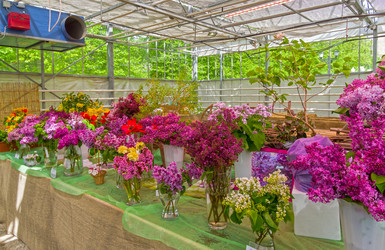 Similar image 21300751