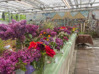 Similar image 21300752