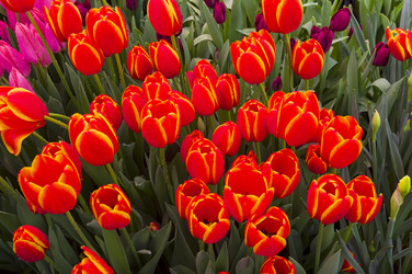 Similar image 21300754