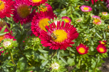 Similar image 21300756