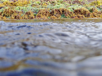 Similar image 21306078