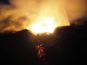 Similar image 21304279