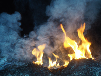 Similar image 21304280