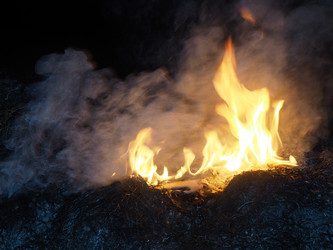 Similar image 21304281