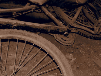 Similar image 21304283