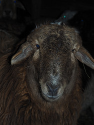 Similar image 21304284