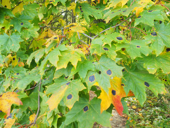 Similar image 21304288