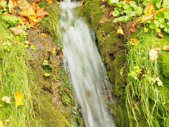 Similar image 21304289