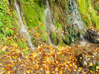 Similar image 21304291