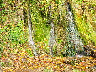 Similar image 21304292